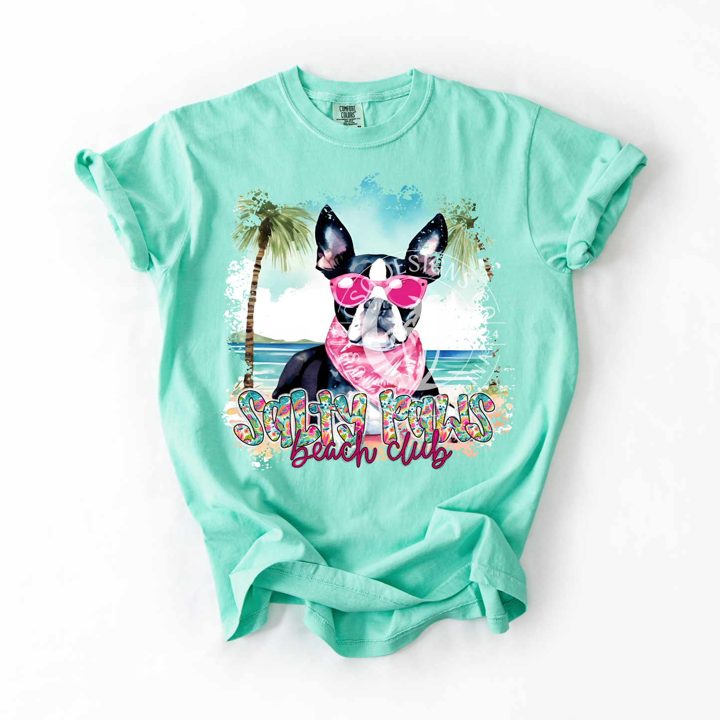 Boston Terrier Salty Paws- PNG