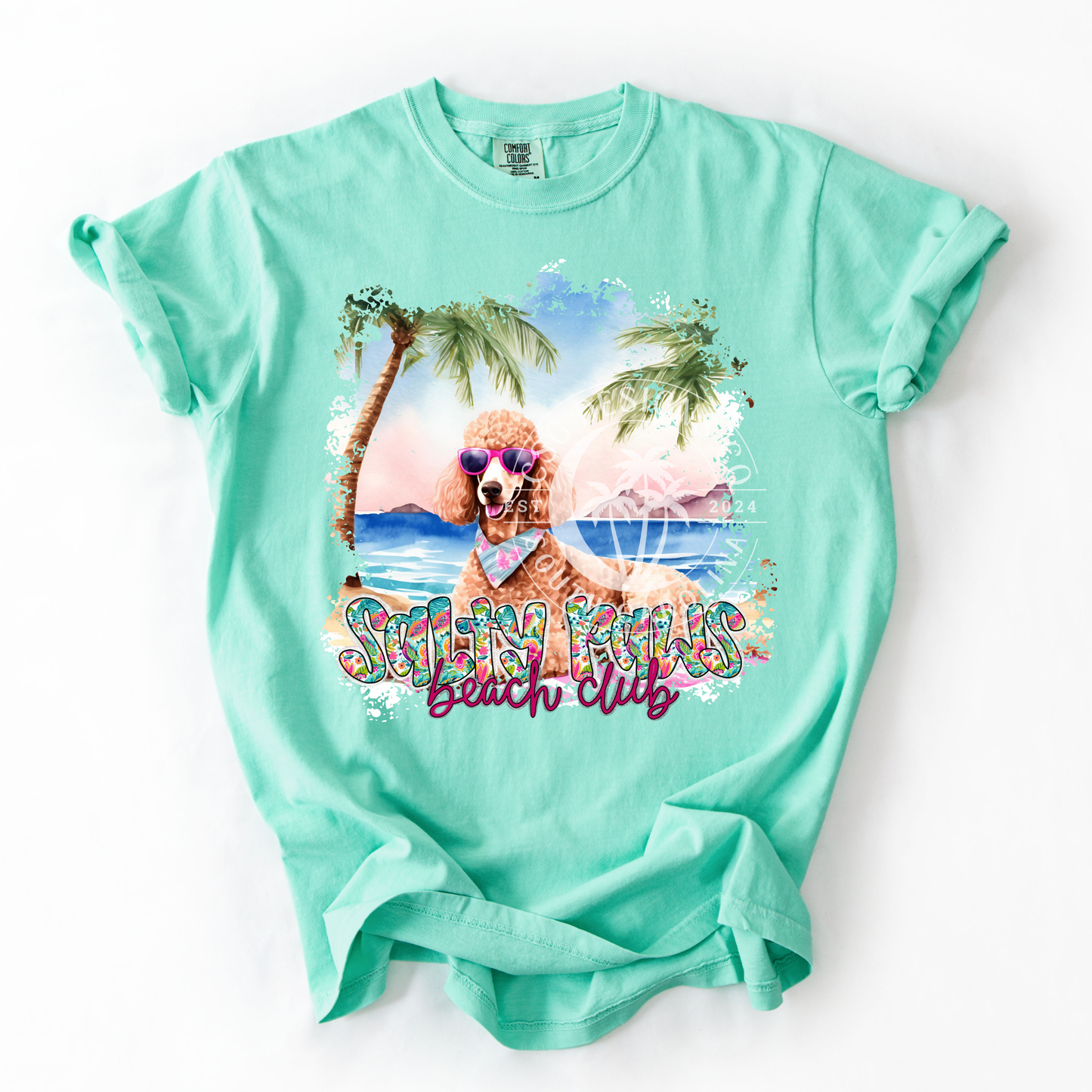 Brown Poodle Salty Paws-PNG