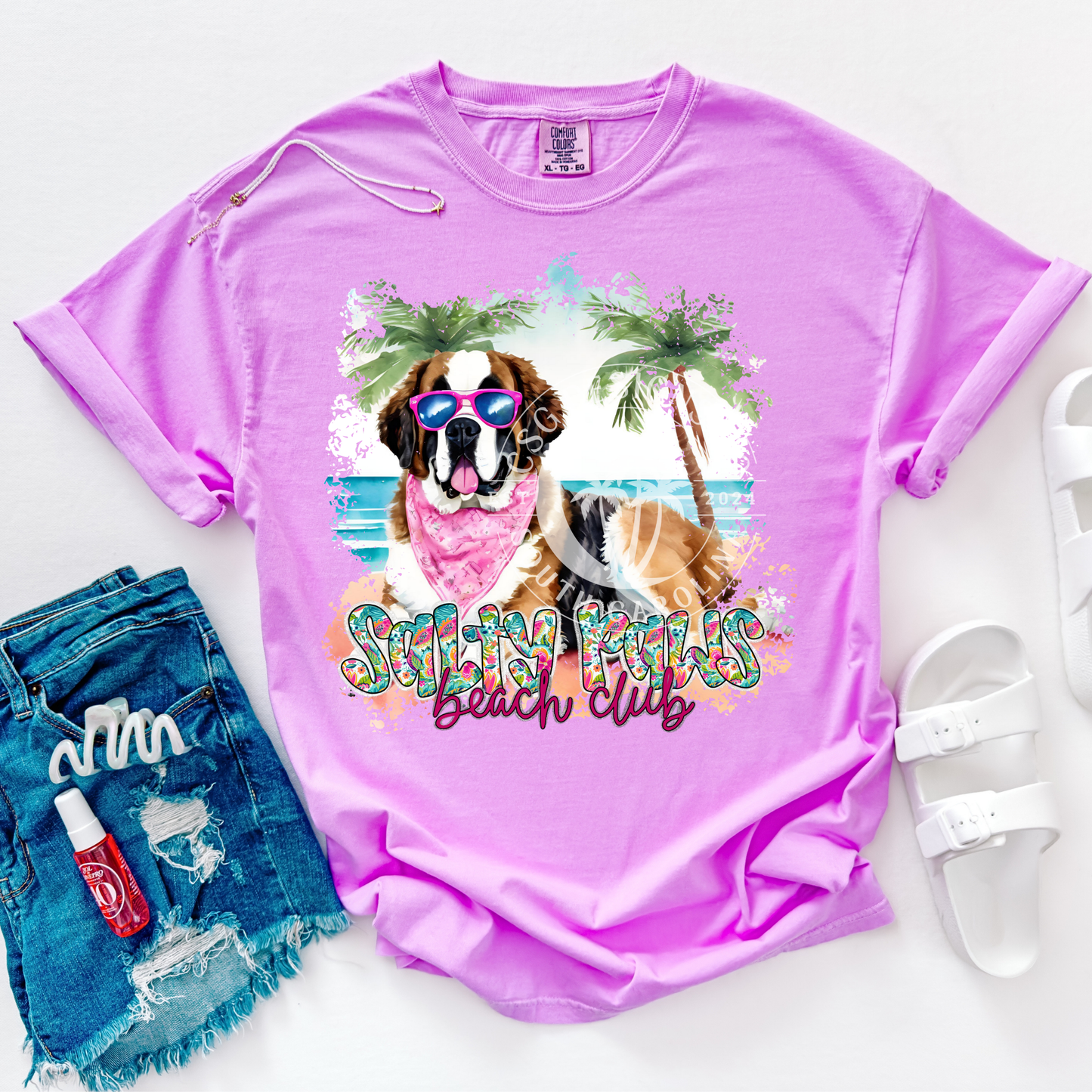 St Bernard Salty Paws-PNG