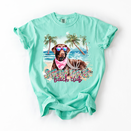 Chocolate Lab Salty Paws-PNG