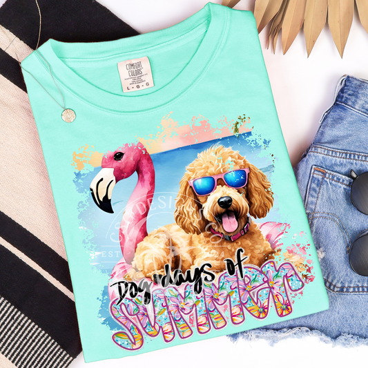 Dog Days of Summer-PNG