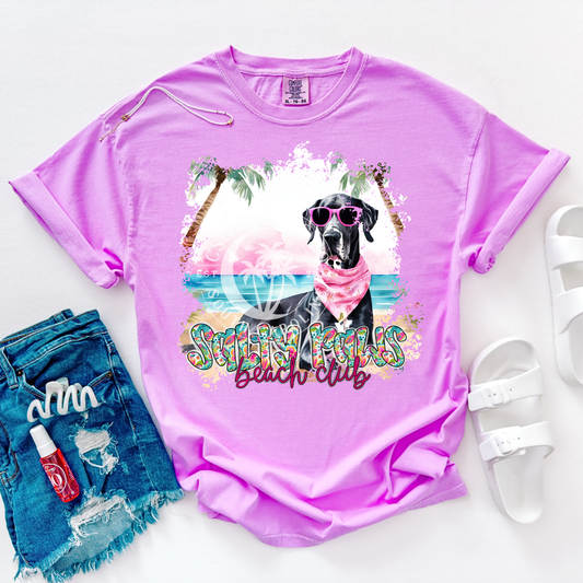 Great Dane Salty Paws-PNG
