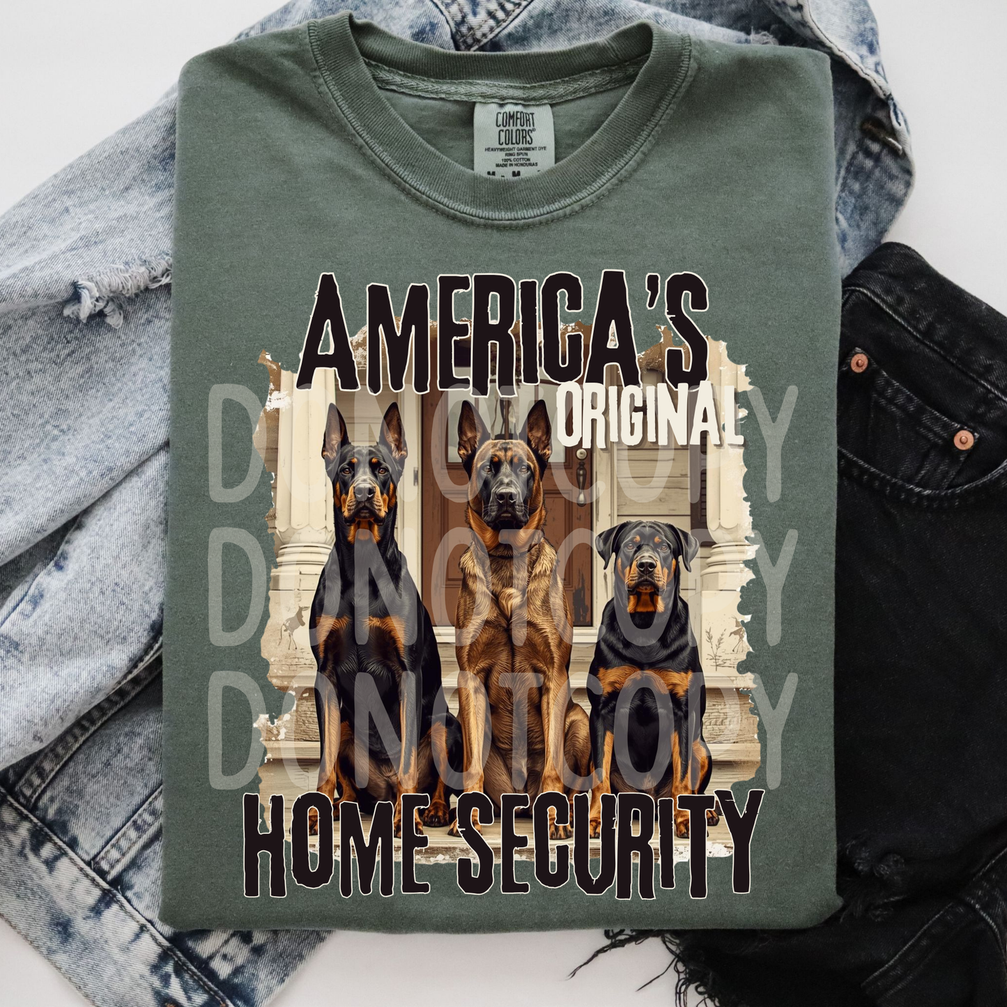 Home Security System- PNG