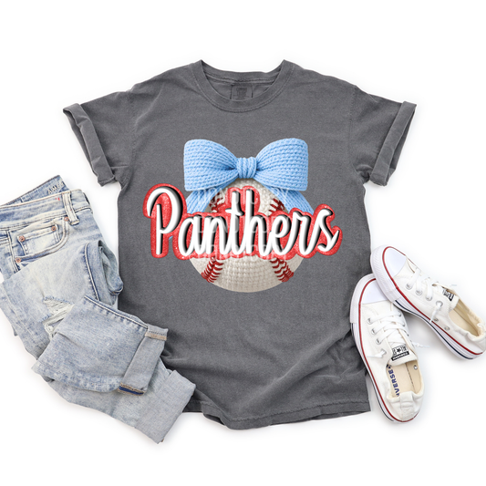 Panthers Baseball PNG