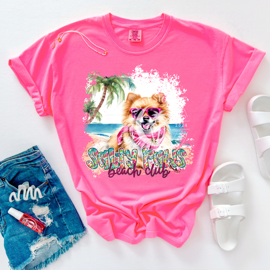 Pomeranian Salty Paws-PNG