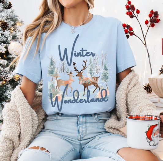 Boho Winter Wonderland