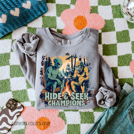 Hide and Seek Champions-PNG