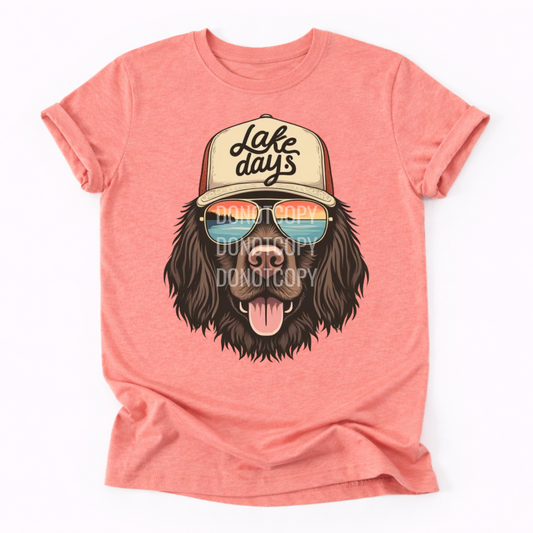 Lake Days Boykin Spaniel- Complete