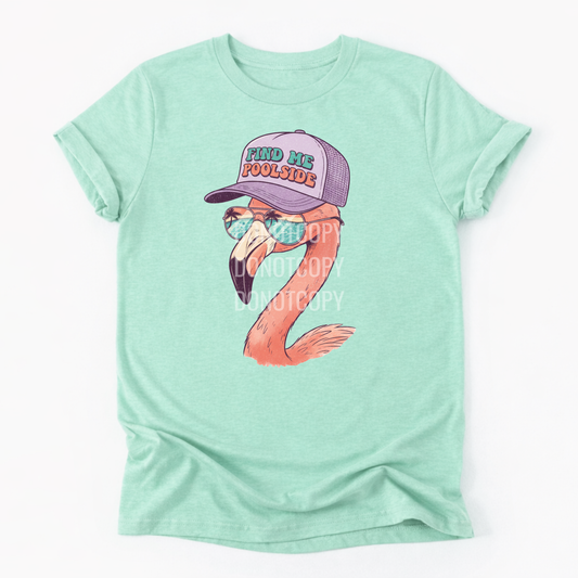 Find Me Poolside- Flamingo- Complete