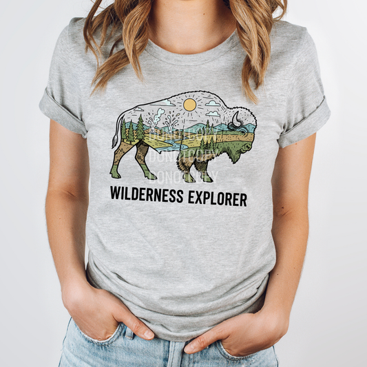 Wilderness Explorer- Complete