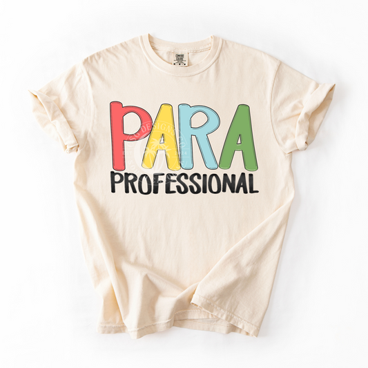 PARA PROFESSIONAL - RETRO- PNG